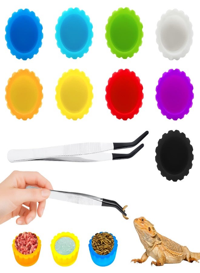 KCMOSGI 9 Pcs Crested Gecko Food and Water Bowl, Crested Gecko Food Dish with Tweezers, Gecko Tank Accessories for Geckos, Hermit Crabs, Tortoises - Image 1